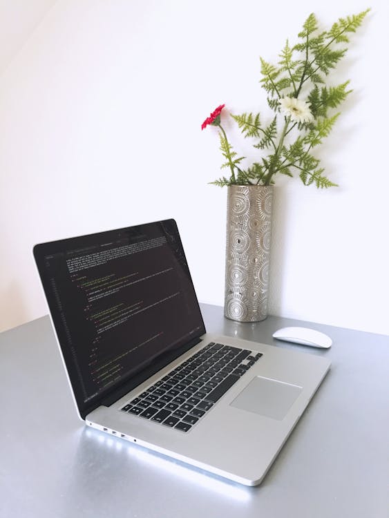 Computer screen showing a website loading interface